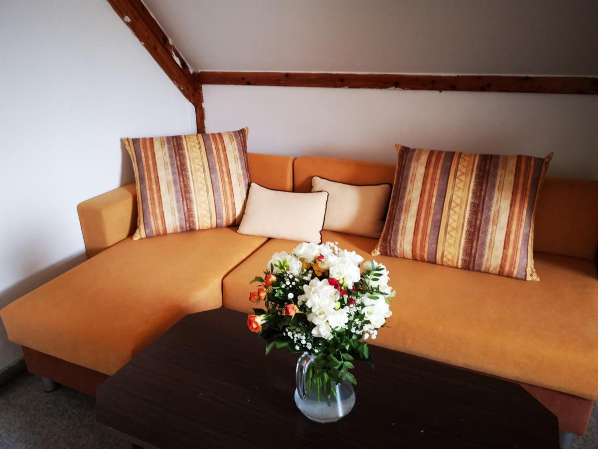 Penzion Tomy Na Plazi Hotel Frymburk Exterior photo